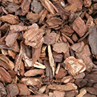 VIALCA Bark Orchidee – Corteccia de pino para todos los tipos de orquídeas – 3 l